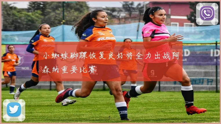 小蜘蛛脚踝恢复良好将全力出战阿森纳重要比赛