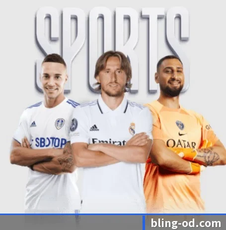 五大服务分区,信息按项目分类 | ODSports